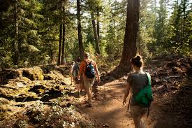 River Trail Nature Walk