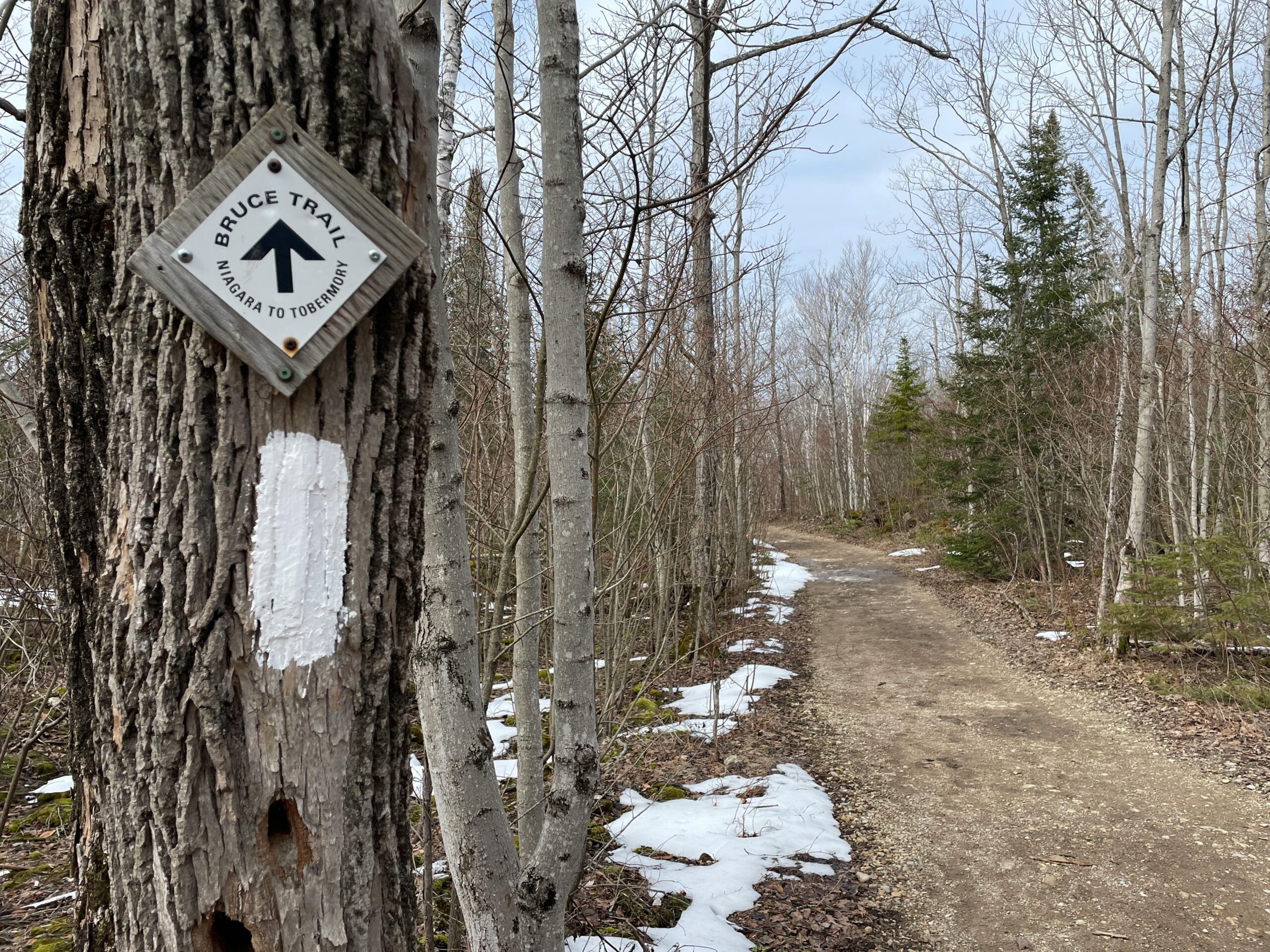 How to Read Trail Difficulty Ratings